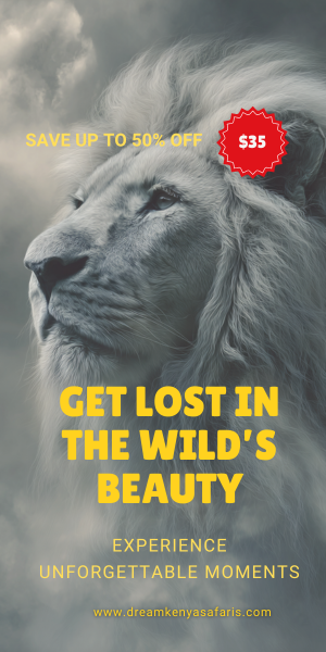 Dream Kenya Safaris — Campaign